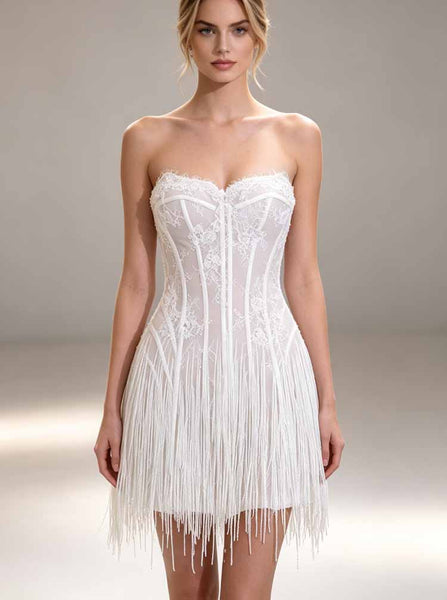 Sweetheart Lace Mini Bridal Dress,Short Fringed Party Dress,Bodycon Reception Dress,WS25103128
