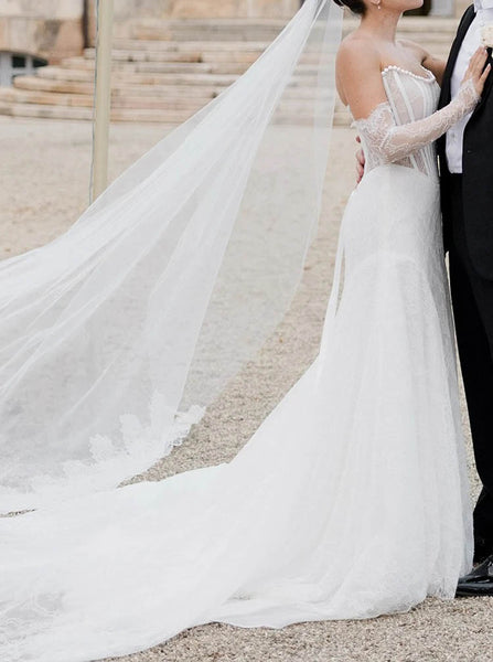 Luxurious Lace Wedding Dress,Fit And Flare Bridal Dress With Matching Gloves,WS25103108