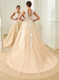 Aline Wedding Dresses,Colored Wedding Dress,Bridal Dress with Appliques,Tulle Bridal Gown,WD00124