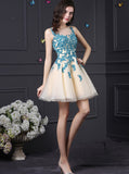 Homecoming Dresses for Teens,Aline Homecoming Dress,Tulle Homecoming Dress,HC00031