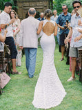 Lace Wedding Dresses,Open Back Bridal Dress,Fitted Wedding Dress,Sexy Wedding Dress,WD00201