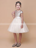 Sequined Girls Party Dresses,Pink Birthday Dress,Junior Dress with Sleeves,JB00045