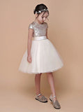 Sequined Girls Party Dresses,Pink Birthday Dress,Junior Dress with Sleeves,JB00045