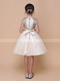 Sequined Girls Party Dresses,Pink Birthday Dress,Junior Dress with Sleeves,JB00045