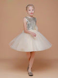 Sequined Junior Bridesmaid Dress,Tulle Short Girls Special Occasion Dress,JB00049