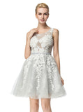 Silver Homecoming Dresses,Aline Homecoming Dress,Tulle Homecoming Dress,HC00024